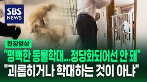 [영상] "교육 방법 마음에 든다" vs "동물 학대로 신고하고 싶다"&hellip;반려견 행동교정 유튜버, '동물보호법 위반 혐의'로 고발당해