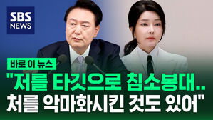 [바로이뉴스] "저를 타깃으로 침소봉대&hellip;처를 악마화시킨 것도 있어"