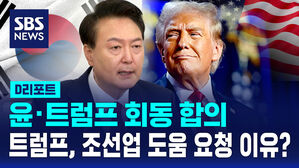[D리포트] 윤&middot;트럼프 회동 합의&hellip;트럼프, 조선업 도움 요청한 이유는?