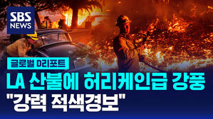 [글로벌D리포트] LA 산불&hellip;허리케인급 강풍에 '강력 적색경보'