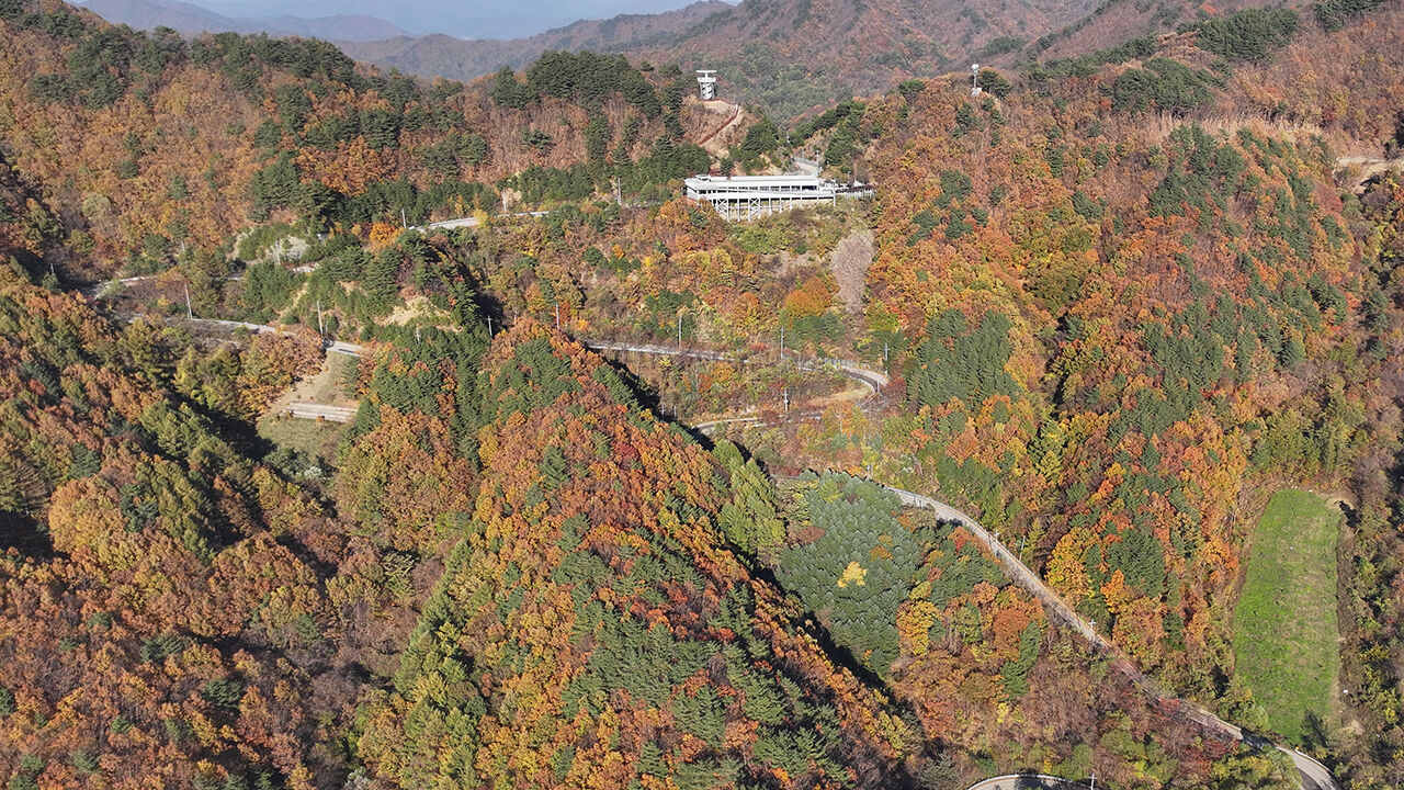 도마령의 가을 (사진=영동군 제공, 연합뉴스)