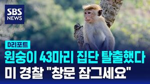 원숭이