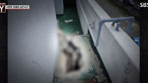 '궁금한 이야기Y' 옥탑방 시멘트 암매장 사건&hellip;16년간 '시멘트' 안에 숨겨져 있던 '진실'은?