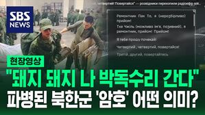 [영상] "돼지 다섯 수신" "사자 사자 하나" 감청된 북한군 암호 해석해 보니…북한-우크라 본격 교전 임박
