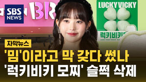 [자막뉴스] '밈'이라고 막 갖다 썼나&hellip;'럭키비키 모찌' 슬쩍 삭제