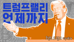 트럼프 랠리