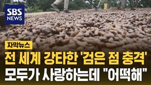 [자막뉴스] 전 세계 강타한 '검은 점 충격'&hellip;모두가 사랑하는데 "어떡해"