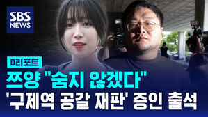 [D리포트] 쯔양 "숨지 않겠다"&hellip;'구제역 공갈 재판' 증인 출석