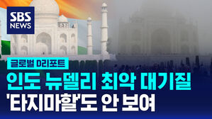 [글로벌D리포트] 인도 뉴델리 최악 대기질&hellip;'타지마할'도 안 보여