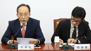 추경호 "민주, '아스팔트 정치' 중단하고 사법 판단 기다려야"
