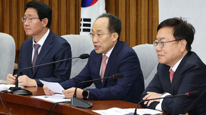 추경호, '돈봉투 혐의' 야당 의원들 소환 불응에 "침대 축구 전술"