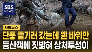 [자막뉴스] 단풍 즐기러 갔는데 웬 바위만&hellip;등산객에 짓밟혀 상처투성이