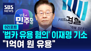 [D리포트] '법카 유용 혐의' 이재명 기소&hellip;"1억여 원 유용"