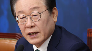 민주, 이재명 기소에 "정치검찰이 방화범처럼 온 동네 불 질러"