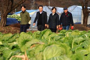 송미령 "배춧값 3천 원대&hellip;평년 수준으로 안정"