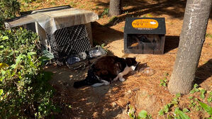 검은 봉지 열었다 '경악'&hellip;사체에 처참한 흔적들