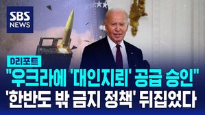 대인지뢰
