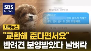 [자막뉴스] "교환해 준다더니" 반려견 분양받았다 날벼락