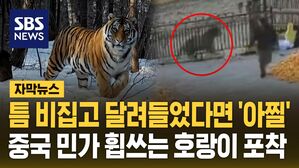 [자막뉴스] 틈 비집고 달려들었다면 '아찔'&hellip;중국 민가 휩쓰는 호랑이