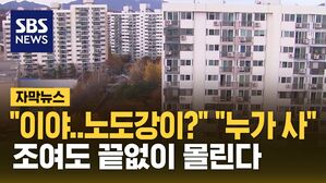 [자막뉴스] 노도강도 '평당 4천', 더 비싼 안양&hellip;조여도 끝없이 몰린다