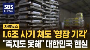 [자막뉴스] 1.6조 사기 쳐도 '영장 기각'&hellip;"죽지도 못해" 대한민국 현실