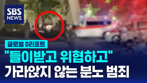 [글로벌D리포트] 들이받고 위협하고&hellip;가라앉지 않는 분노 범죄