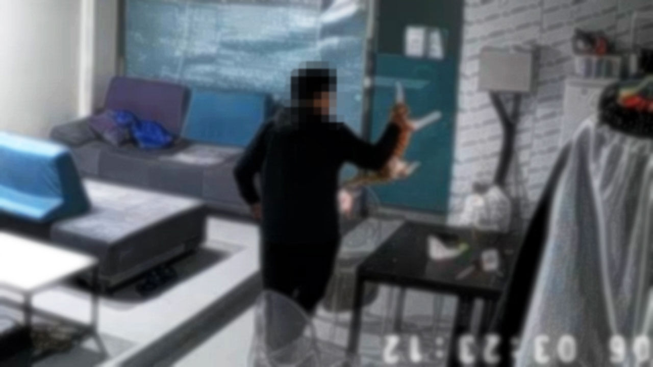 사무실서 새끼 고양이 3시간 학대한 배달기사
