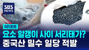 [D리포트] 관세 안내려고&hellip;요소수로 위장해 중국산 서리태 밀수