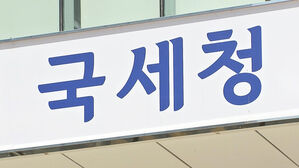 유튜버에 칼 빼든 과세당국&hellip;작년 21명 세무조사해 89억 부과