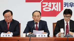 추경호 "일본, 한일우호 흔들면 안돼&hellip;우리 외교당국도 반성 필요"