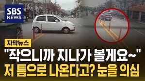 [자막뉴스] "작으니까 지나가 볼게요&sim;" 저 틈으로 나왔다고?