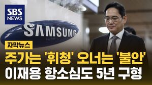 [자막뉴스] 주가는 '휘청' 오너는 '불안'&hellip;이재용 항소심도 5년 구형
