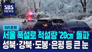 적설량