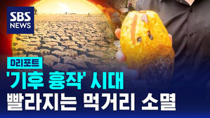 [D리포트] '기후 흉작' 시대&hellip;빨라지는 먹거리 소멸