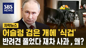 [자막뉴스] 어슬렁 검은 개에 '식겁'&hellip;반려견 풀었다 재차 사과, 왜?