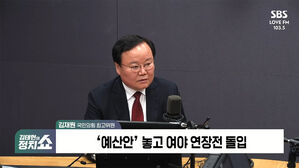 [정치쇼] 김재원 "한동훈, 진짜 모호하게 갔어야&hellip;특검, 공개 무효표 만들 수밖에"