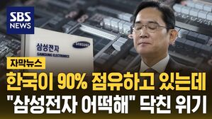 [자막뉴스] 한국이 90% 점유하고 있는데&hellip;미&middot;중 싸움에 "삼성전자 어떡해"