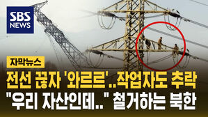 [자막뉴스] 송전선 끊더니 송전탑도 '와르르'&hellip;북한 작업자 추락 장면도 담겨