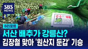 [D리포트] 서산 배추가 강릉산?&hellip;김장철 맞아 '원산지 둔갑' 기승