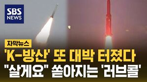 [자막뉴스] 개발 끝나지도 않았는데&hellip;"명품 무기" 쏟아지는 K-방산 '러브콜'