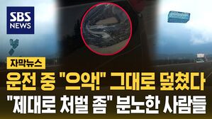 [자막뉴스] 운전 중 "으악!" 그대로 덮쳤다&hellip;"제대로 처벌 좀" 블박 보니