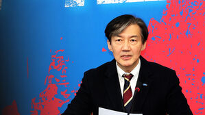조국, 대법원서 징역 2년 확정&hellip;의원직 상실