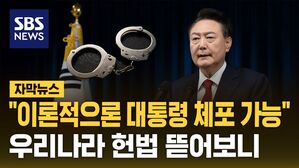 [자막뉴스] "이론적으론 체포 가능"&hellip;헌법 뜯어보니