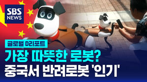 [글로벌D리포트] 가장 따뜻한 로봇?&hellip;중국서 반려로봇 '인기'