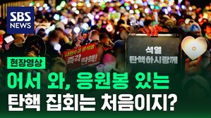 [영상] 응원봉 들고 K-POP 떼창&hellip;잘못 왔나? '콘서트장' 아니고 '집회 현장'이었다. 응원봉 들고 나온 이유 들어보니