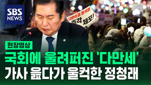 [현장영상] 국회 법사위에 울려퍼진 소녀시대 '다만세'&hellip;가사 읊다가 울컥한 정청래