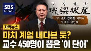 [자막뉴스] 마치 계엄 내다본 듯?&hellip;교수 450명이 뽑은 '이 단어'
