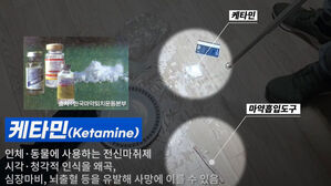 '젊은 여성들과 마약 파티'&hellip;펜션서 집단 투약 일당 구속 송치
