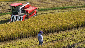 농업진흥지역에 근로자 숙소&middot;무더위 쉼터 설치 가능해진다
