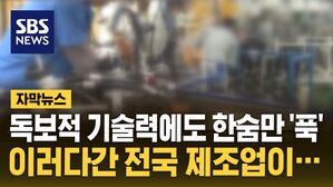 [자막뉴스] 독보적 기술력에도 한숨만 '푹'&hellip;이러다간 전국 제조업이
